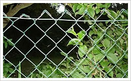 Chain Link Fence