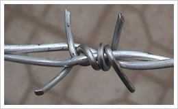 Barbed Wire