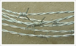 Barbed Wire