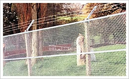 Expanded Metal Fence